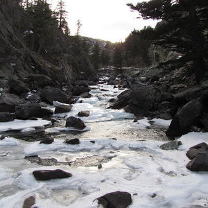 Meet your Posher, Annika